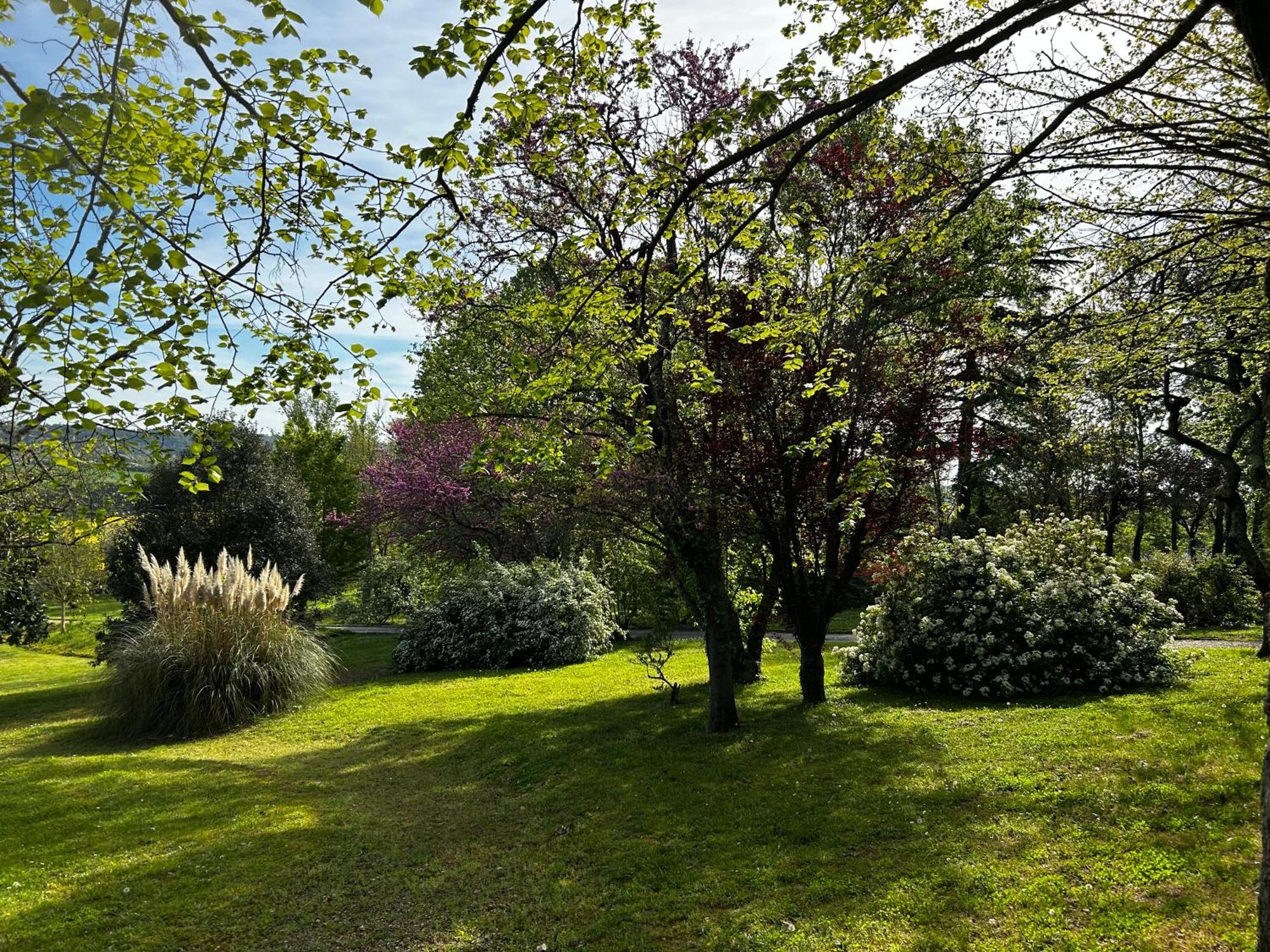 Au Bonheur Dupre B&B Montoire-sur-le-Loir Экстерьер фото